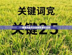 速度快速反击助球队掌控比分