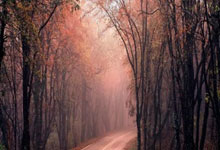 深渊队大将表态，力倡团队合作