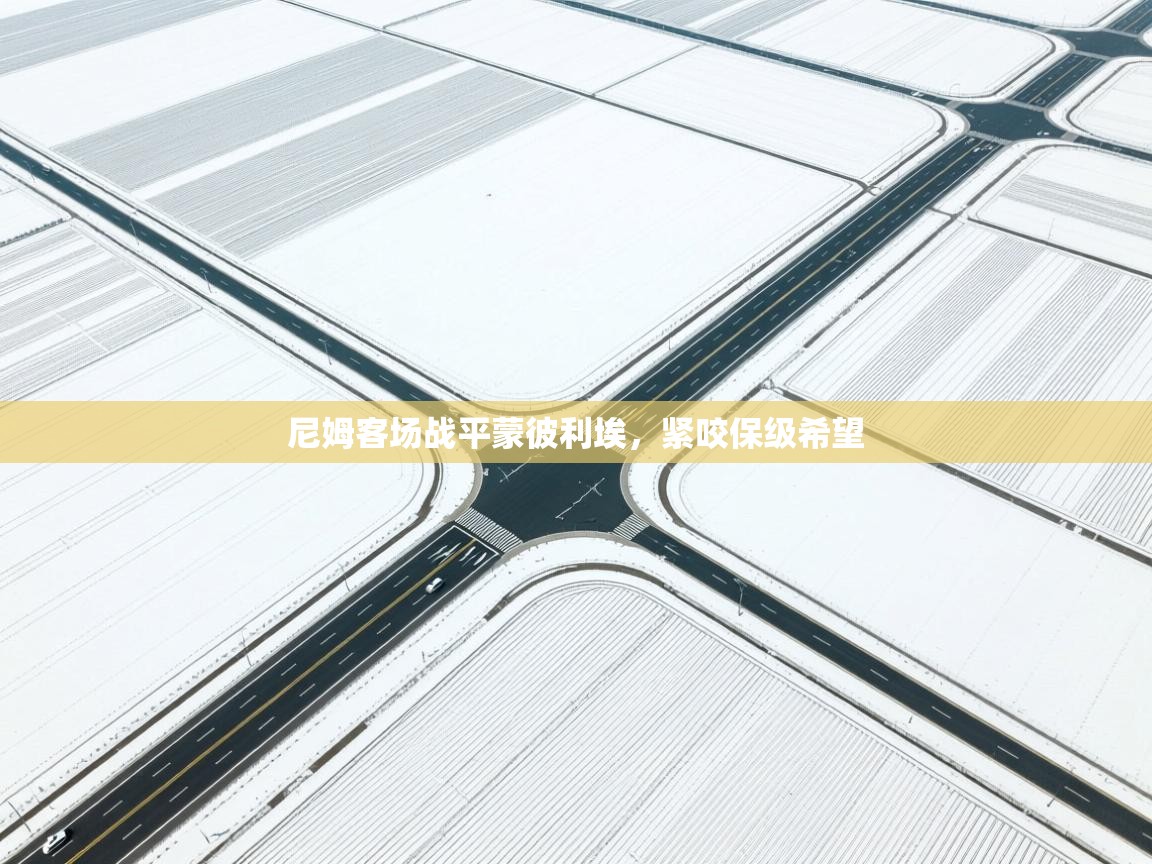 尼姆客场战平蒙彼利埃，紧咬保级希望  第2张