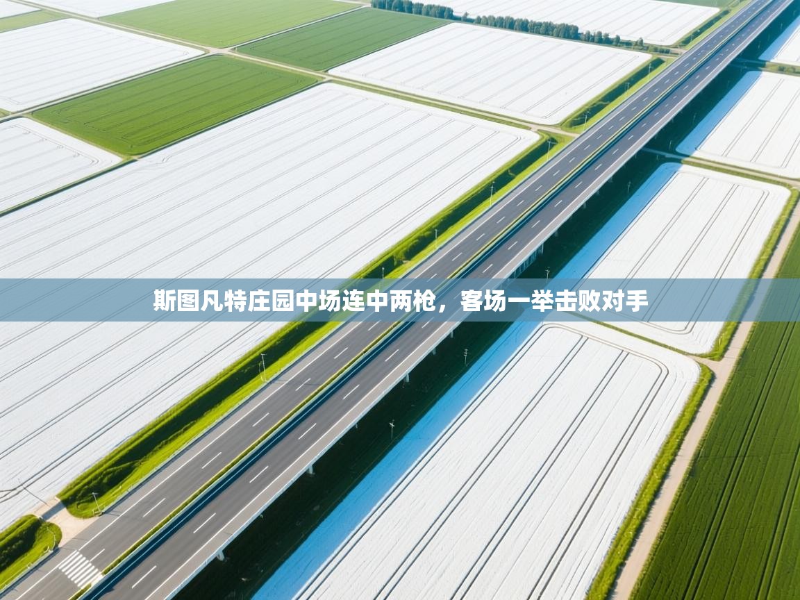 斯图凡特庄园中场连中两枪，客场一举击败对手  第1张